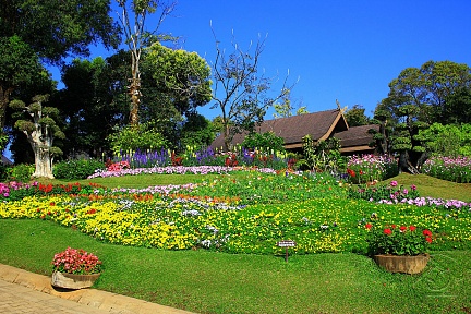 Парк цветов у дома