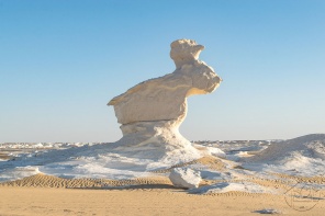 Солевая фигура в белой пустыне