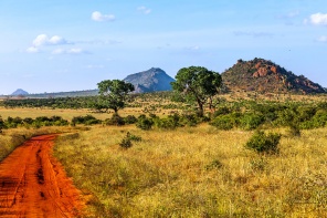Дорога в национальном парке Кении