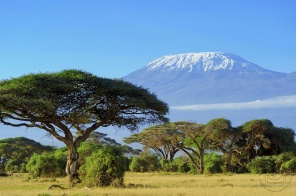 Высочайший стратовулкан Африки