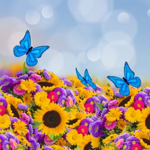 Цветочный луг и красивые синие бабочки