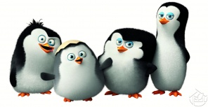Пингвины Мадагаскара в детстве