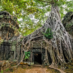 Величественный Храм Та Пром в Камбодже
