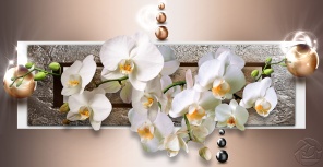 Белые орхидеи на шоколадном фоне