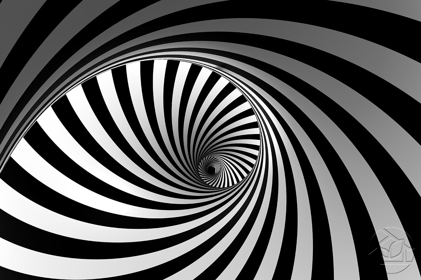 Картины 3D абстракция чёрно-белая спираль - Арт. 002030086 | Заказать в  интернет-магазине Фото в дом - Фото в дом