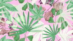 Тропические растения на розовом фоне
