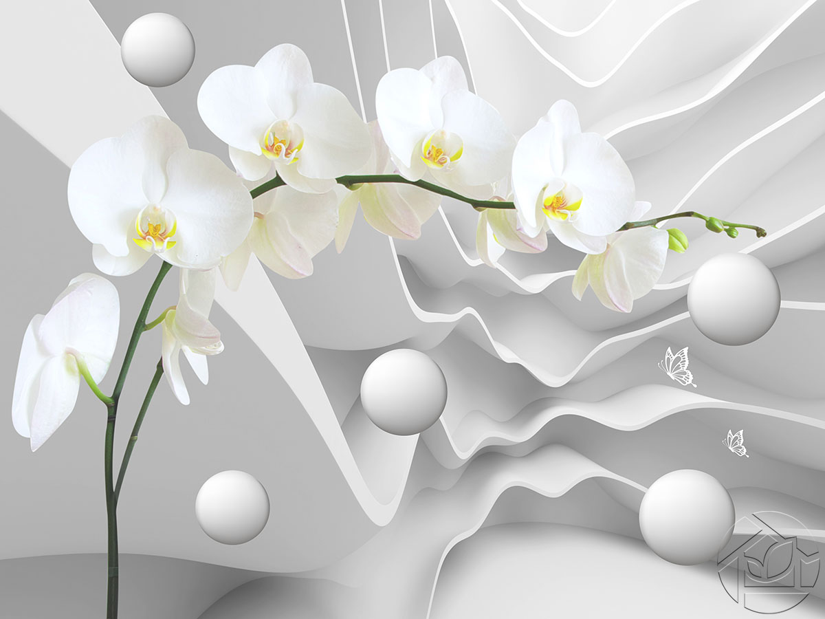 Ветка орхидеи на стене с волнами и шарами