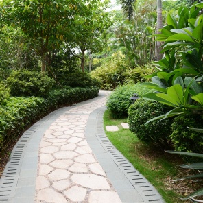 Каменная тропа в тропическом саду