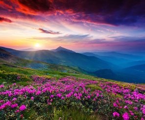 Багровый закат над цветущими холмами
