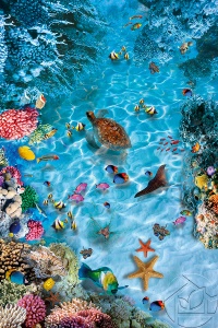 3D пол риф с морскими обитателями