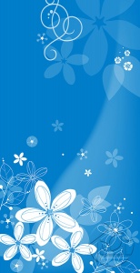 Нежный голубой фон с белыми цветами