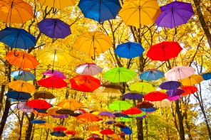 Осенние зонтики