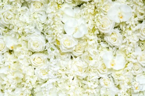 Цветочный белый фон с орхидеями и розами