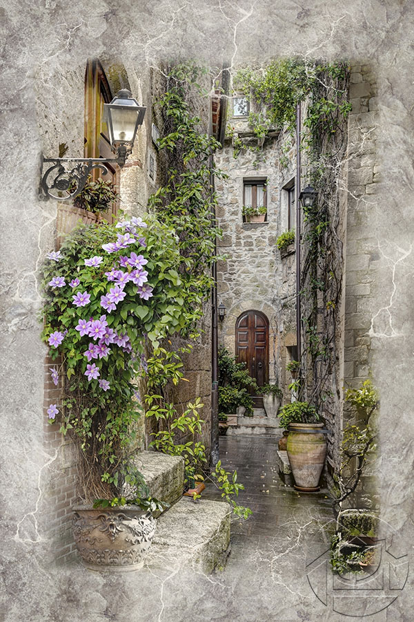 Цветущий куст в переулке в стиле ретро