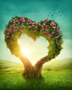 Цветущее дерево в форме сердца