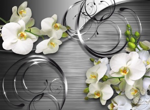 Стальная лоза и белые Орхидеи 
