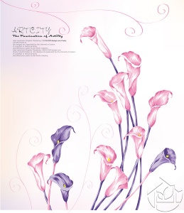 Рисунок розовых и сиреневых калл