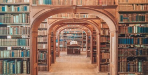библиотека арка