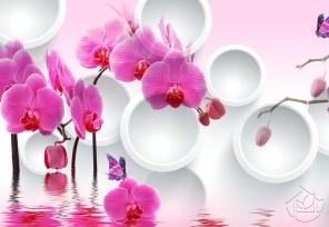 Орхидеи с кругами на воде 