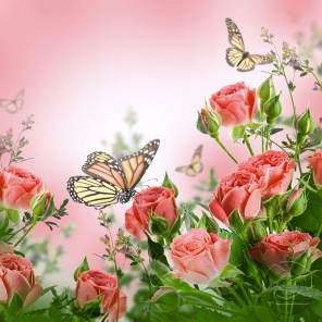 Бабочки на розах