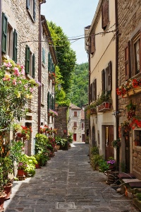 Очень красивая улица с цветами