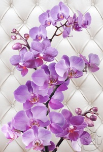 Ветка Орхидеи на кожаном фоне