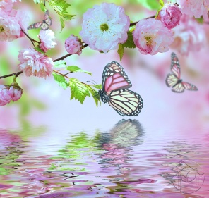 Розовые бабочки и цветы