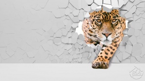 3D леопард разбивает стену