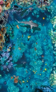 3D пол акула и скат на рифе