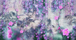 Цветение сакуры в японском стиле