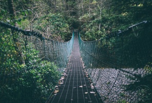 Сетчатый подвесной мост в лесу