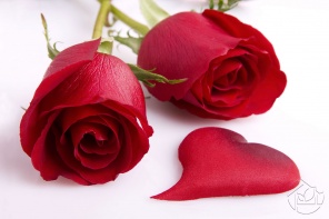 Две розы и сердце