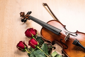 скрипка и красные розы