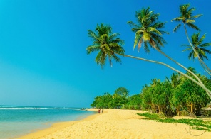 Один из пляжей в Доминикане