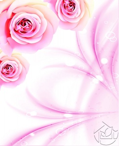 Бледно-пурпуровые розы