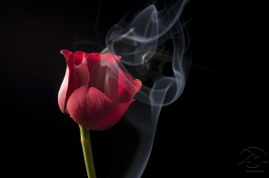 Красная роза в дыму