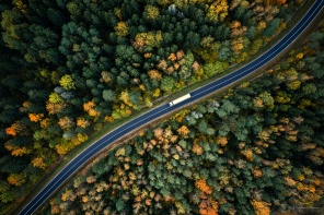 Осенняя дорога через лес