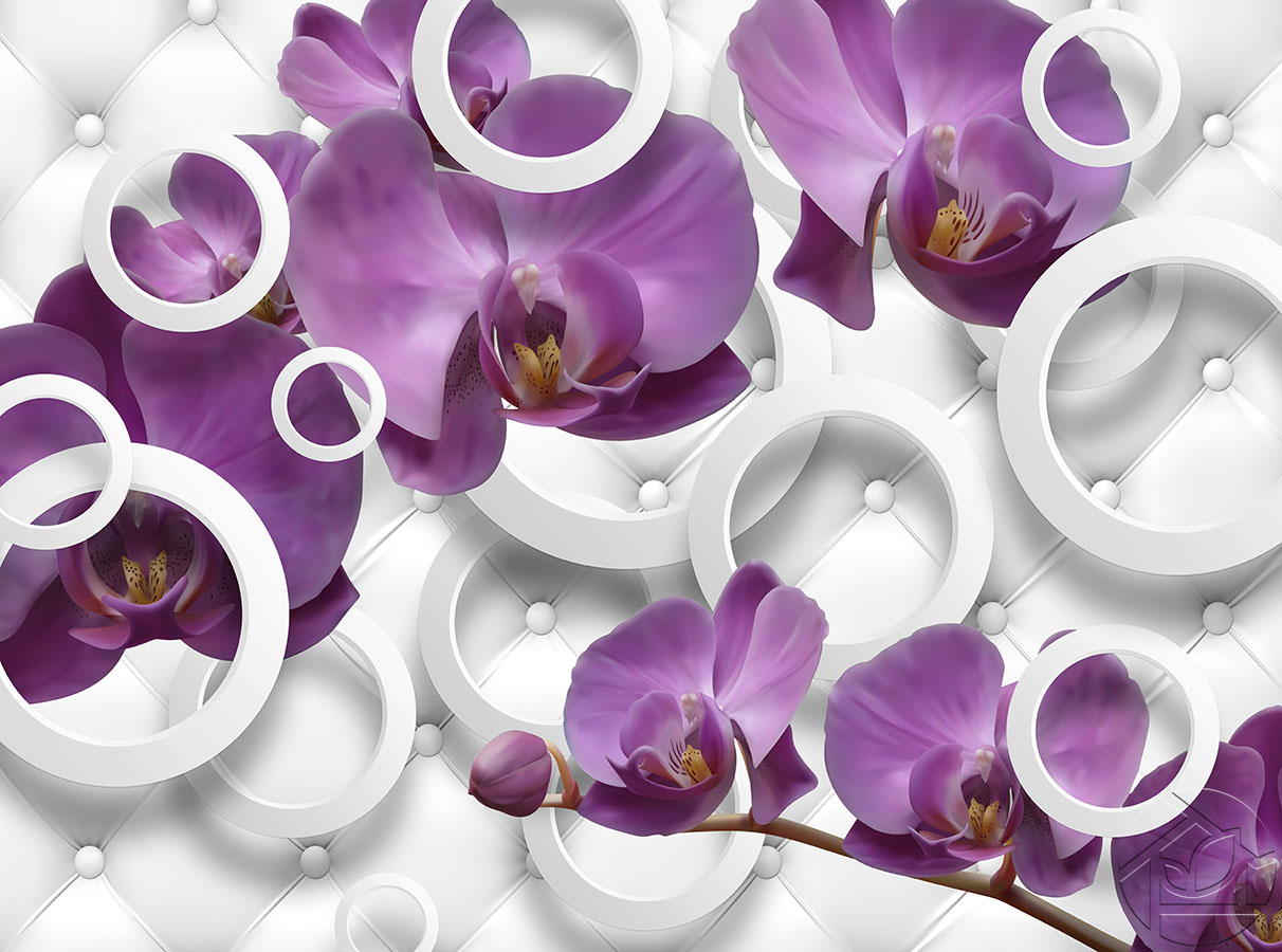 Фиолетовые орхидеи и круги