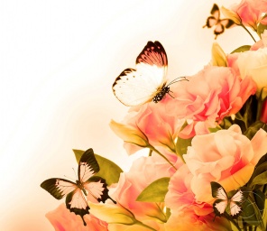 Бабочки у розовых роз