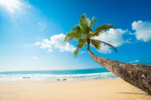 Пляж на Карибах