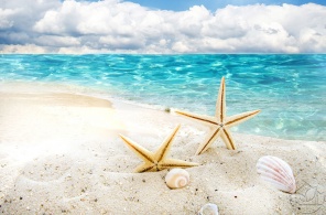 Морские звёздочки и ракушки на берегу моря