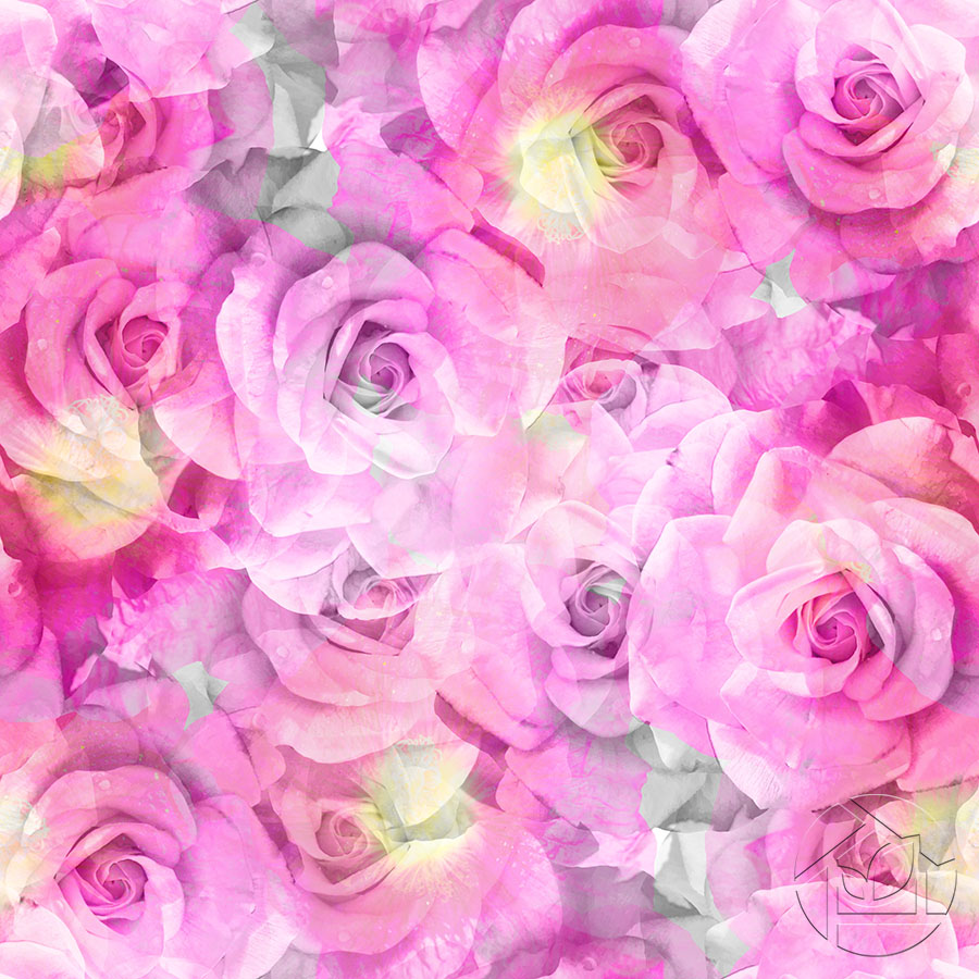 Фон из ярких розовых роз