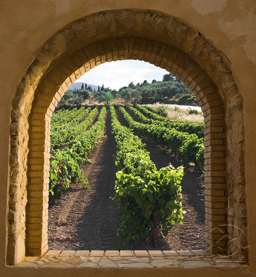 Вид на виноградник сквозь кирпичную арку
