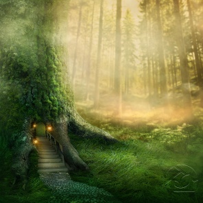 Утро в волшебном лесу