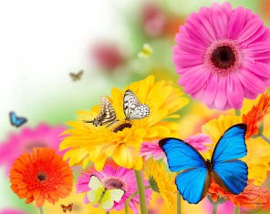 Бабочки-цветочки