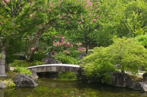 Небольшой мостик под цветущим деревом