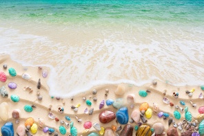 пляж с ракушками