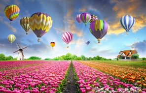 воздушные шары над тюльпанами