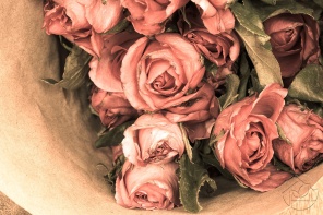 Винтажный фон розовых роз
