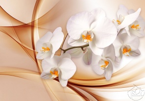 Тёмный янтарный фон с орхидеями